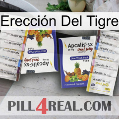 Erección Del Tigre 12